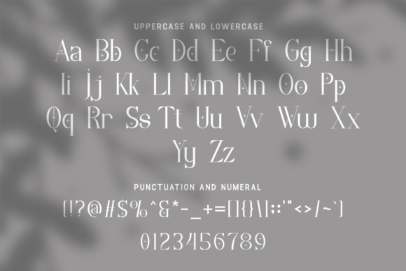 Costivex Font - Preview 3