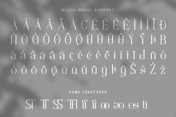 Costivex Font - Preview 4