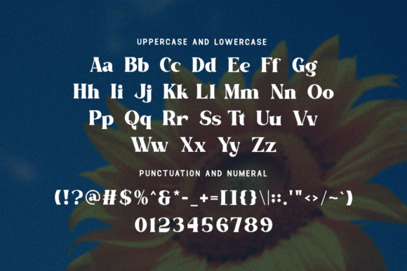 Daylight Font - Preview 4