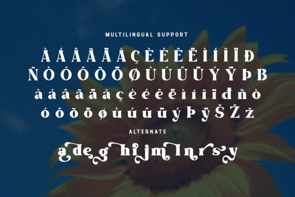 Daylight Font - Preview 5