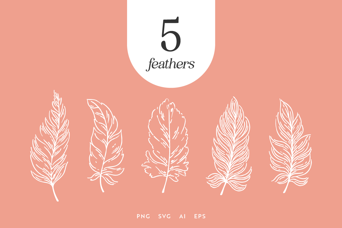 Feather Illustrations Graphic by emmawebbstudio · Creative Fabrica