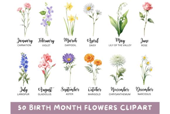 50 Watercolor Birth Month Flowers PNG Graphic Illustrations By regalcreds