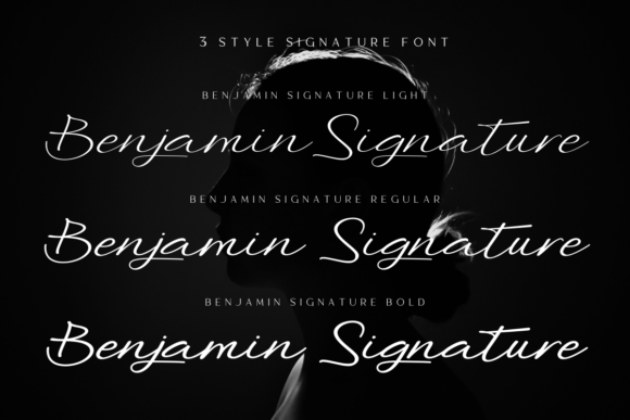 Benjamin Signature Font - Preview 2