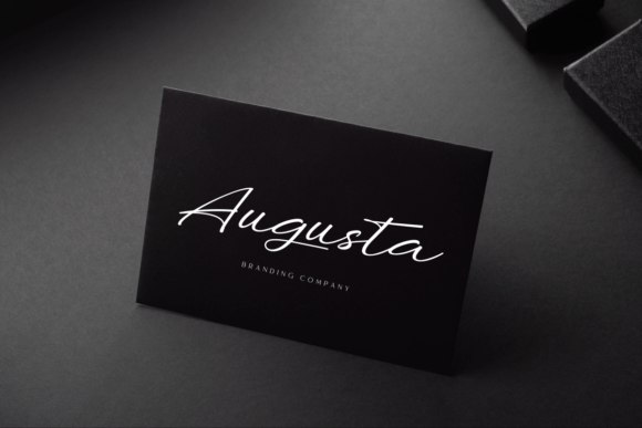 Benjamin Signature Font - Preview 3