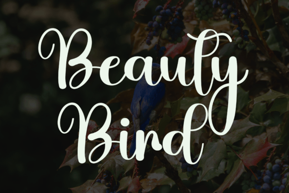 Bluebird Font - Preview 6