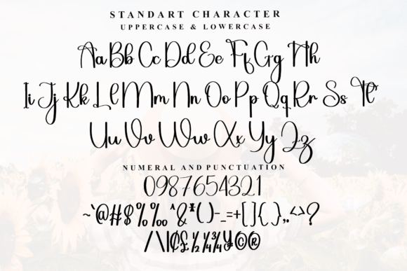 Grandma Font - Preview 4
