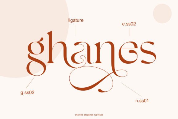 Shavina Elegance Font PNG with transparent background - Preview 6