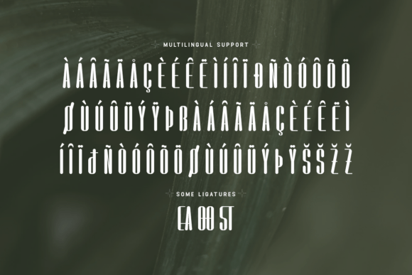 Floresta Font - Preview 4