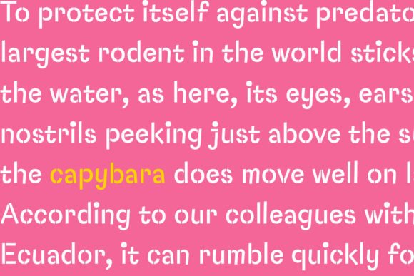 Capybara Stencil Font - Preview 4