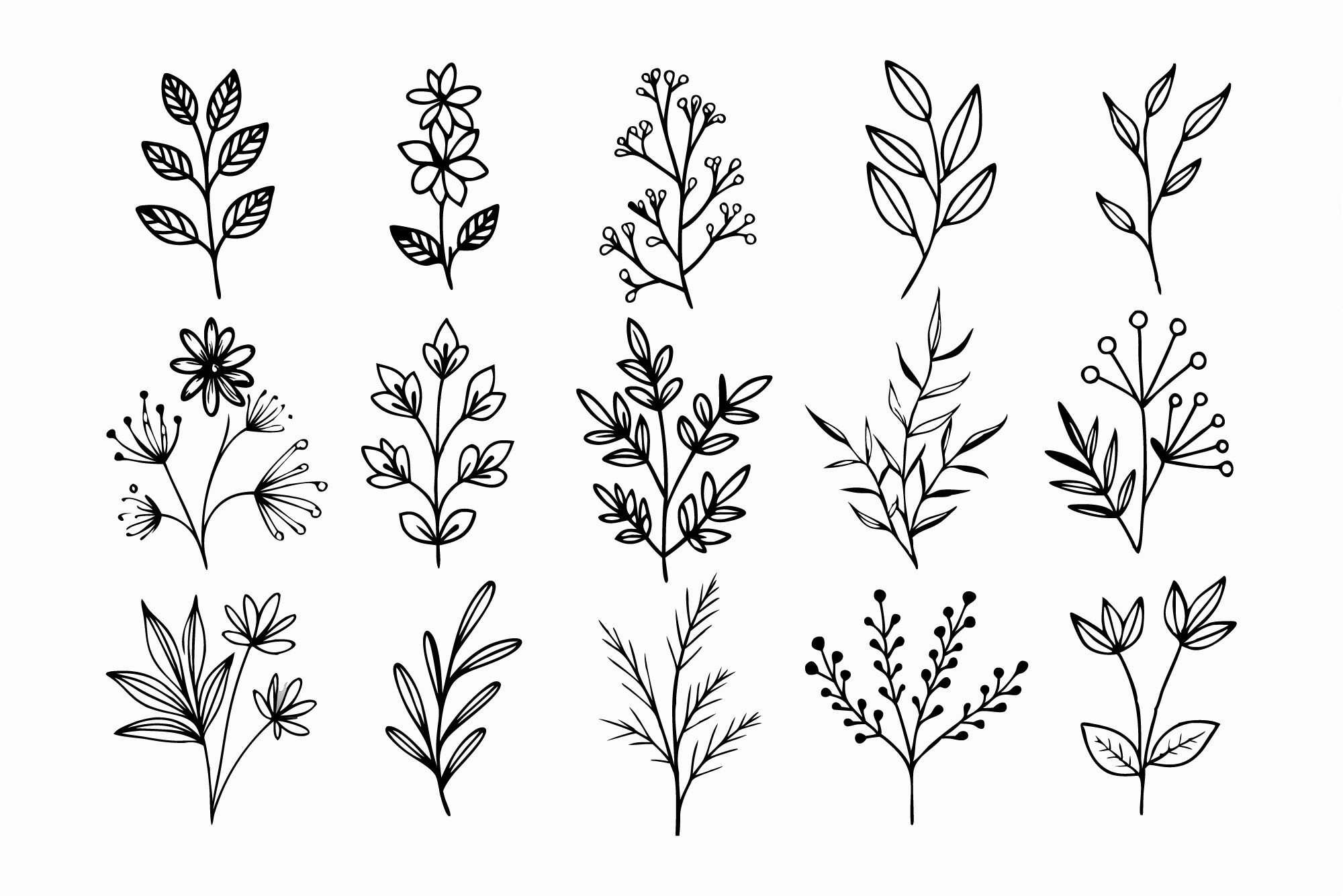 SVG Hand-draw Wildflowers Floral Branche