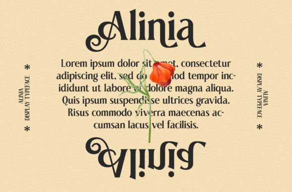 Alinia Font - Preview 2