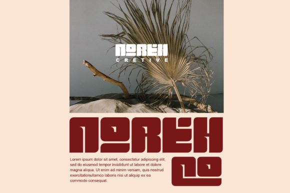 Colie Font - Preview 3