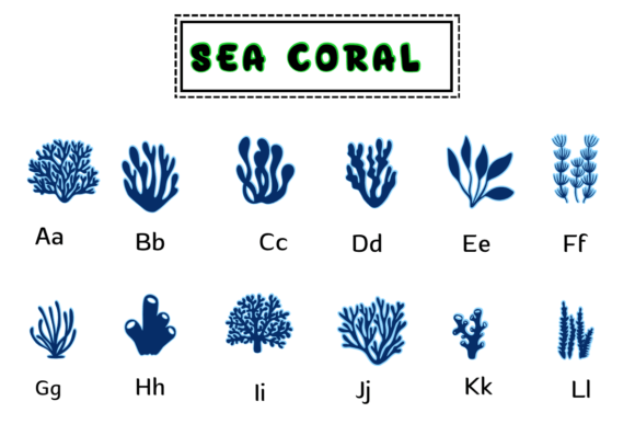 Sea Coral Font PNG with transparent background - Preview 1