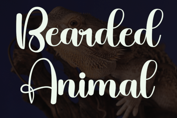 Beardy Font - Preview 6