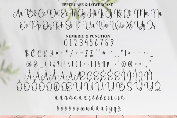 Calligraphy Font - Preview 6