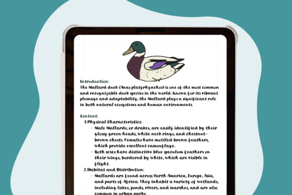 Ducky Lucky Font - Preview 2