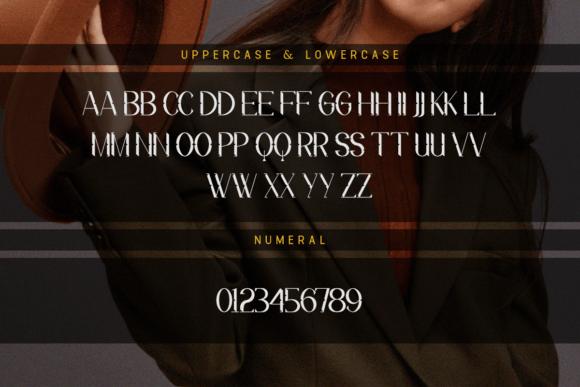 Flowzora Font PNG with transparent background - Preview 3