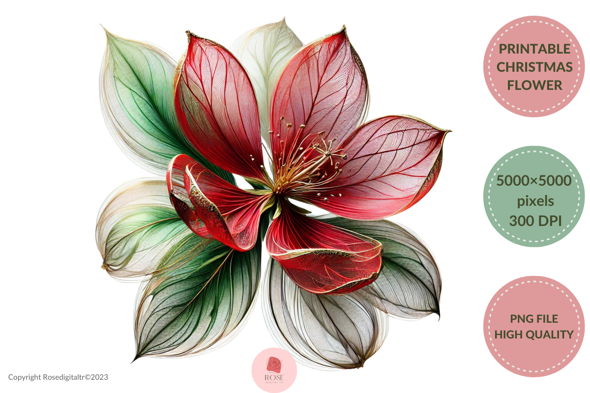 Free Printable Christmas Roses Free Printable Christmas Flower 18 Graphic by rosedigitaltr · Creative ...
