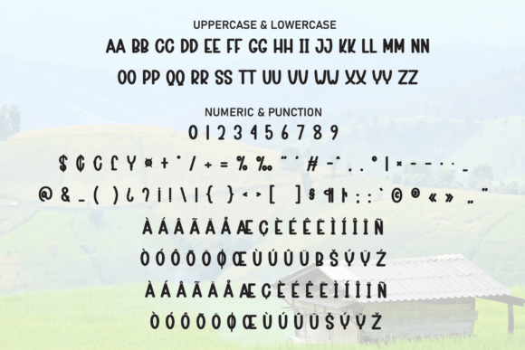 Farmhouse Font - Preview 6