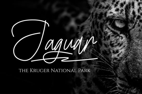 Australia Font - Preview 4