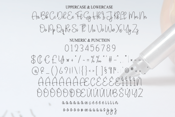Autography Font - Preview 6