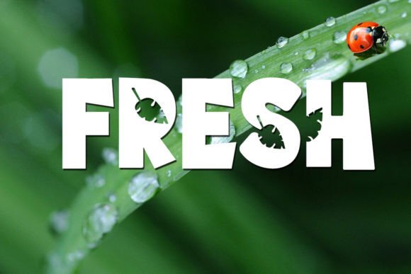 Green Nature Font PNG with transparent background - Preview 3