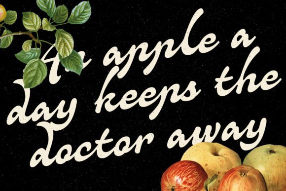 Quiscript Quisans Font PNG with transparent background - Preview 6