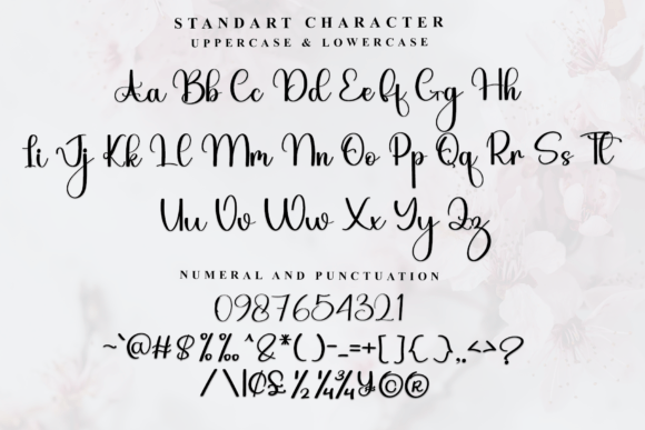 Elegant Signature Font - Preview 4