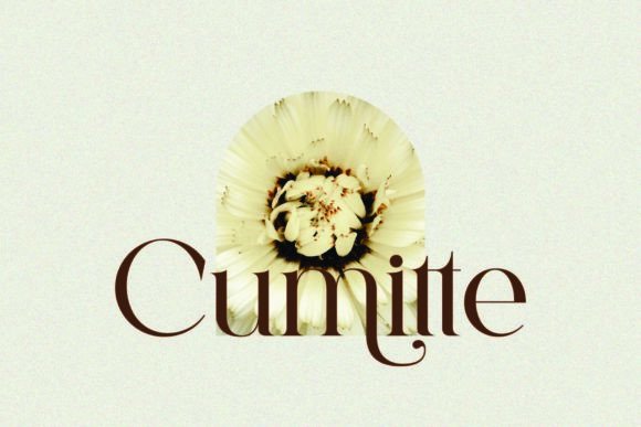 Emotte Font PNG with transparent background - Preview 1