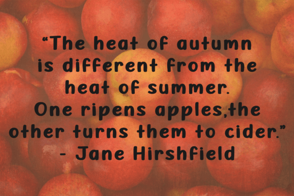 Ready for Fall Font PNG with transparent background - Preview 2