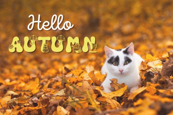 Autumn Font - Preview 1