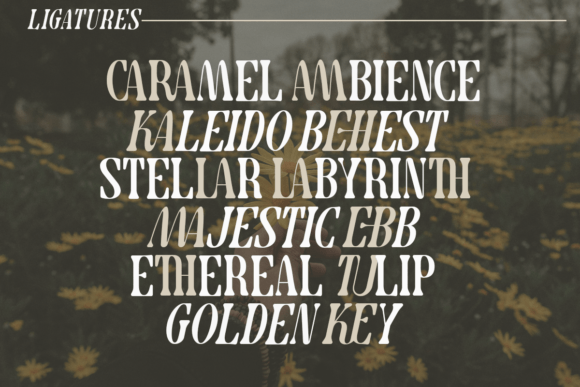 Cravela Font - Preview 1