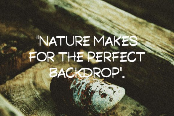 Forest Font - Preview 5