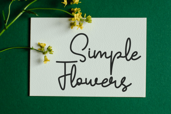 Buffalo Font - Preview 4