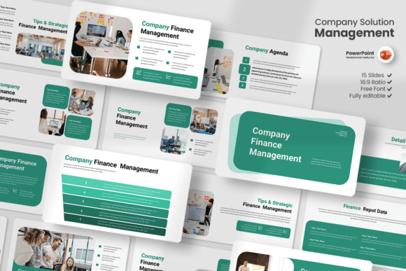 Company Finance Management - PowerPoint