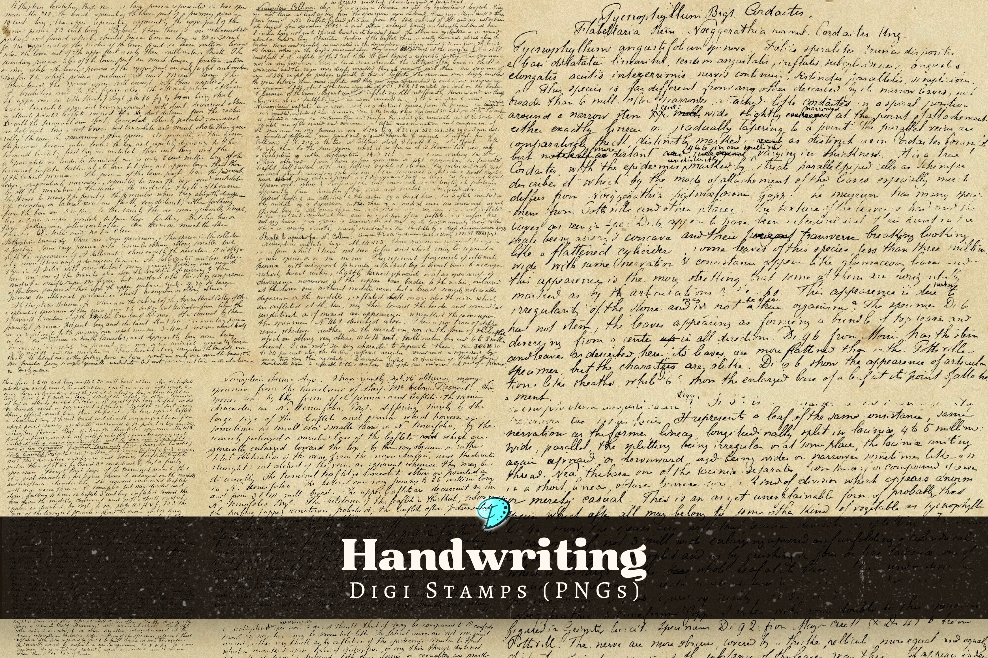 Handwriting Digi Stamps PNG Clipart