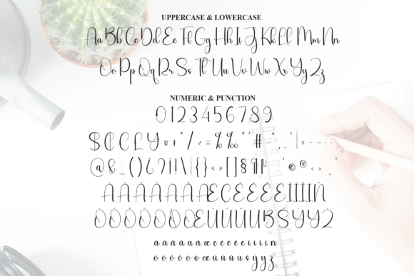 Angelina Signature Font - Preview 6