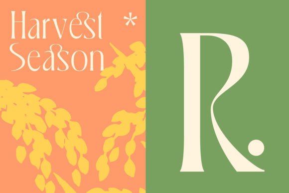 Cajoles Font - Preview 6