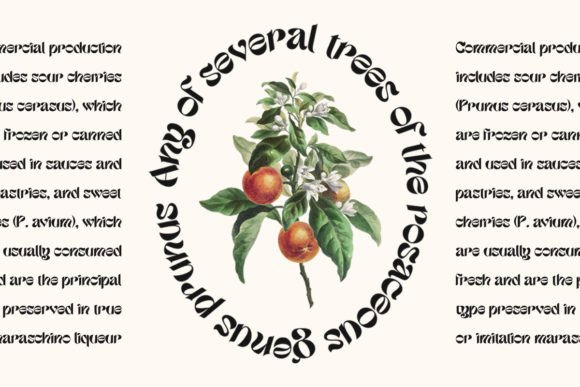 Etnyca Font - Preview 5