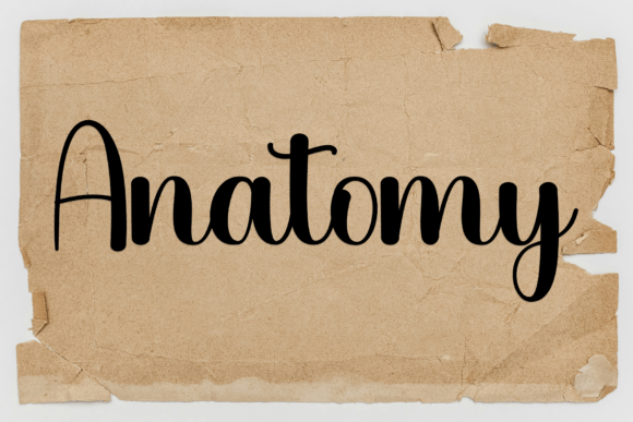 Everiday Sunday Font - Preview 4