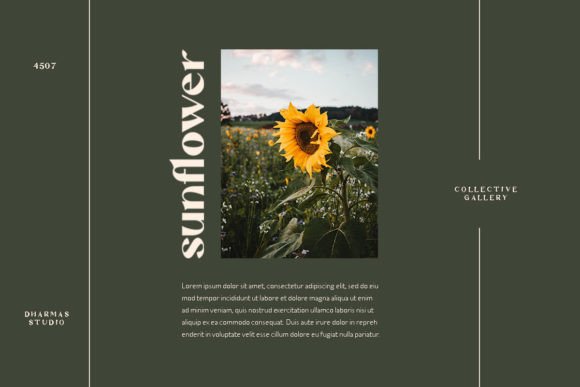 Mattire Font PNG with transparent background - Preview 3