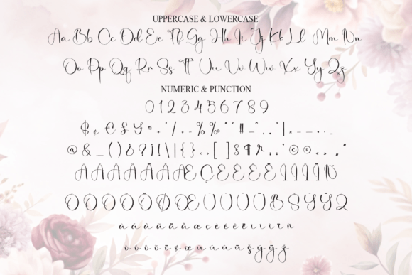 Angelina Font - Preview 6
