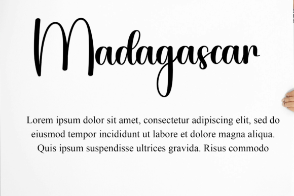 Authentic Signature Font - Preview 4