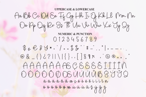 Pretty Font PNG with transparent background - Preview 6