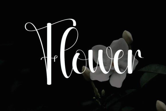 Grandma Font - Preview 2