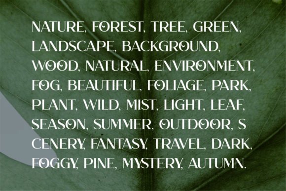 Hello Forest Font - Preview 1