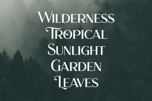Hello Forest Font - Preview 3