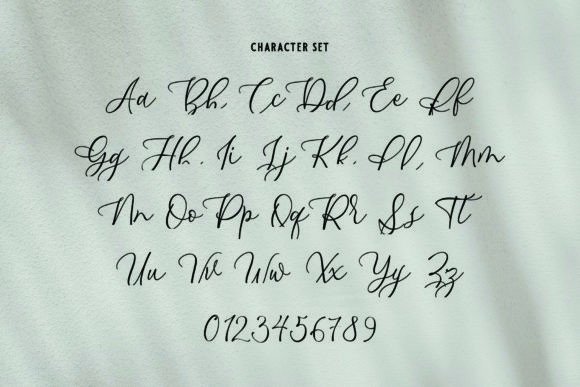 Palmeyra Font PNG with transparent background - Preview 3