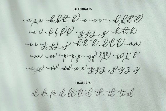 Palmeyra Font PNG with transparent background - Preview 4