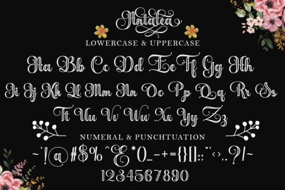 Antalea Outline Font - Preview 5